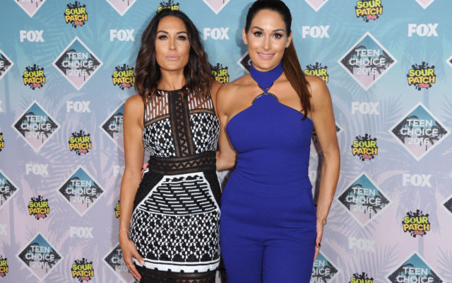 WWE’s former Bella Twins BOTH pregnant and due only 10 days apart!