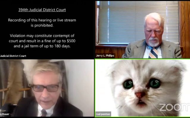Lawyer is Stuck As Cat During Zoom Trial
