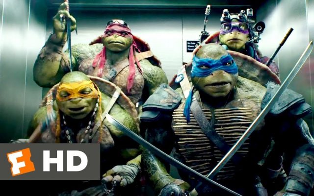 Seth Rogen to reboot the TMNT franchise