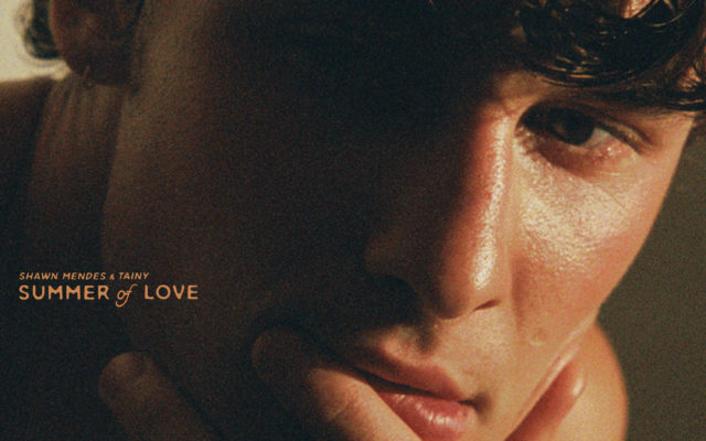 Shawn Mendes Drops ‘Summer of Love’