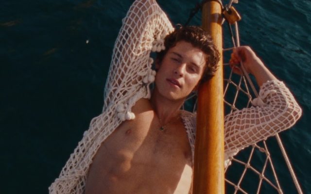Shawn Mendes – Summer of Love [Music Video]