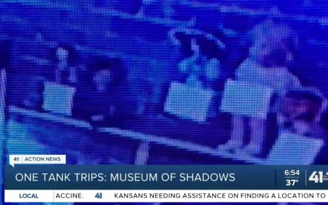 Name A Doll At The “Museum Of Shadows”