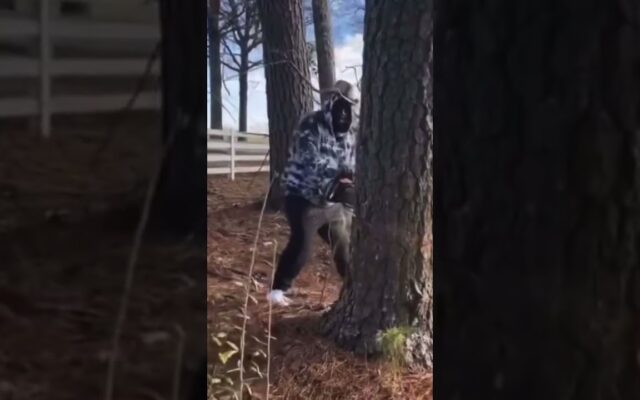 Rick Ross Cuts His Own Tree: “You Can’t Charge a Boss $1K a Tree”