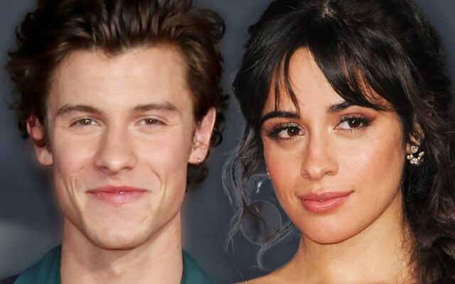 Camila Cabello Reveals All About Shawn Mendes Split In New Breakup Song