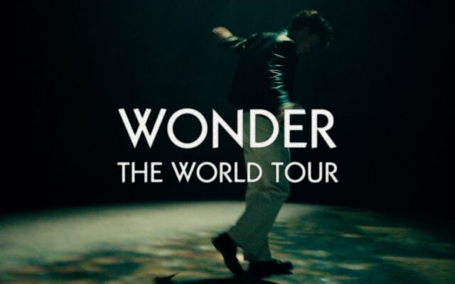 Shawn Mendes’ 2022 Tour – Set List Revealed for ‘Wonder: The World Tour’ Shows