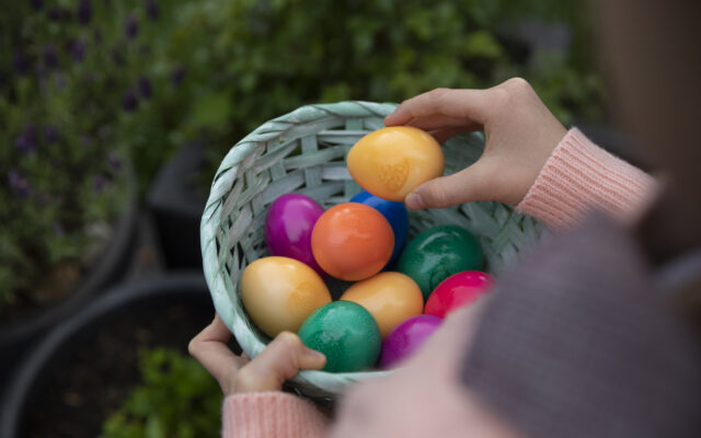 Easter Egg Hunt For Mommy